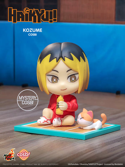 Haikyu - Serie 2 - Cosbi Collection - Figura de Colección / Caja Misteriosa