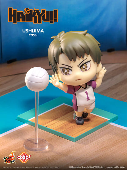 Haikyu - Serie 2 - Cosbi Collection - Figura de Colección / Caja Misteriosa