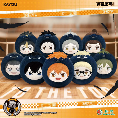 Haikyuu!! - Bola Cuervo Serie 1 - Colgante de Peluche / Caja Misteriosa