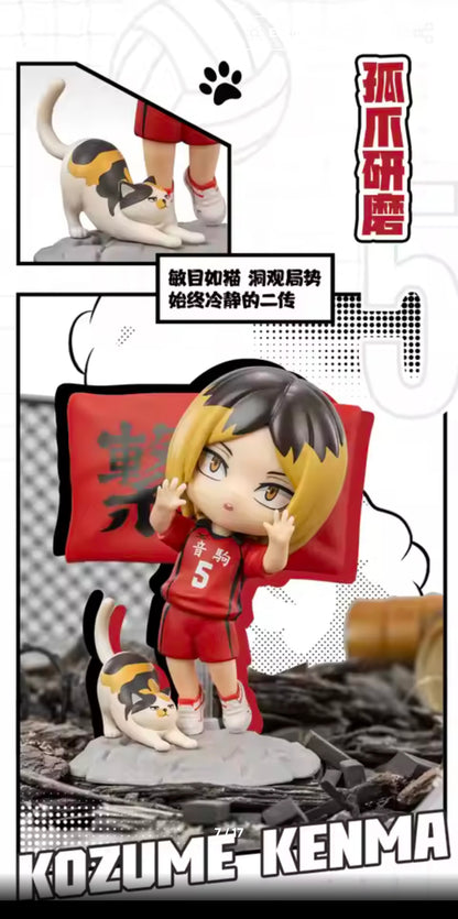 HAIKYU!! - The Dumpster Battle Series - Figura Coleccionable / Caja Misteriosa